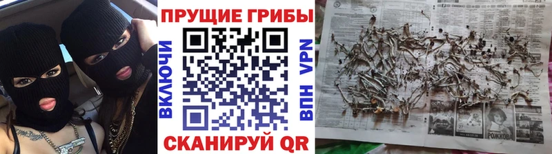 Галлюциногенные грибы прущие грибы Плёс