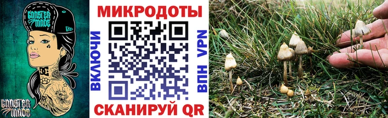 darknet состав  наркота  Плёс  Галлюциногенные грибы Cubensis 