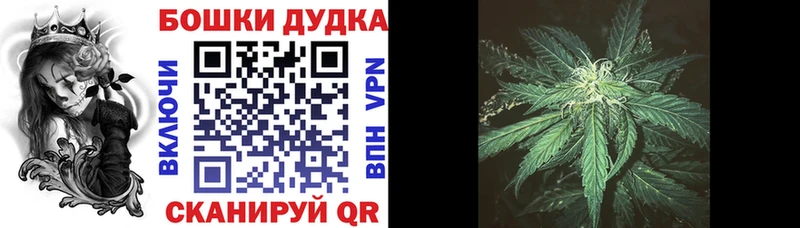 Конопля VHQ цены mega ссылки Плёс